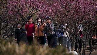 Actors, filmmakers flock to China to explore micro drama boom